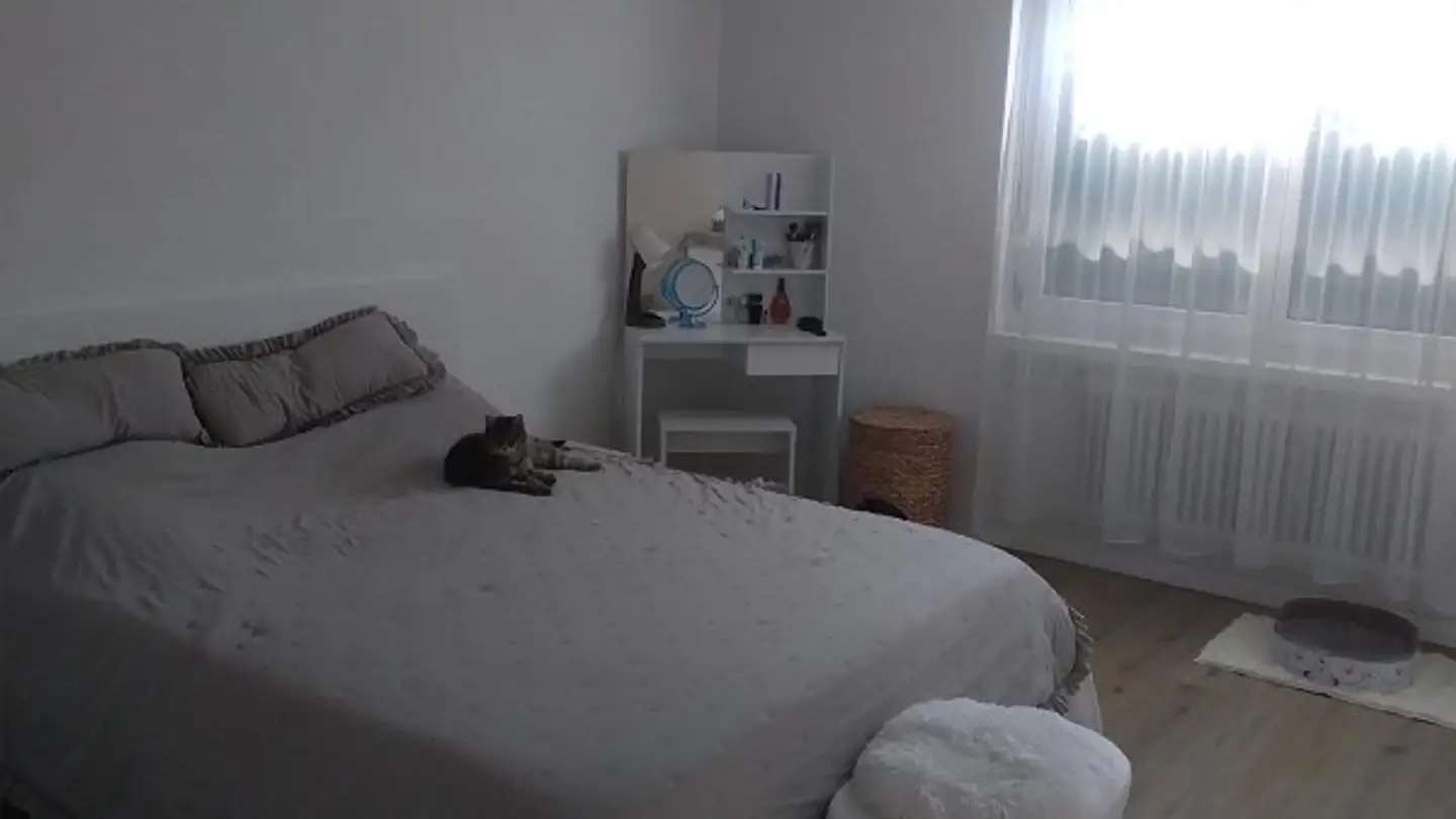 Appartement à louer - Dorfstrasse 30, 8585 Mattwil - Photo 3