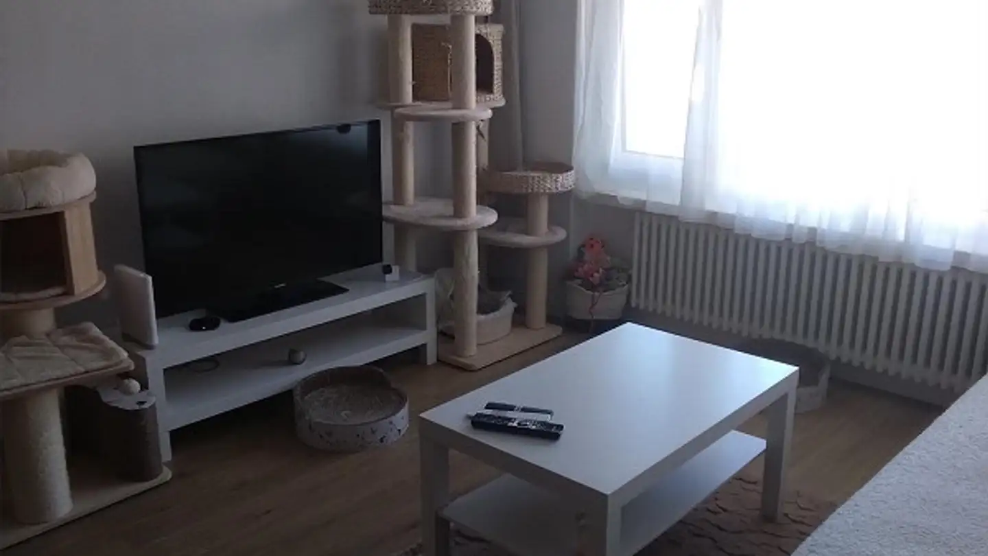 Appartement à louer - Dorfstrasse 30, 8585 Mattwil - Photo 2
