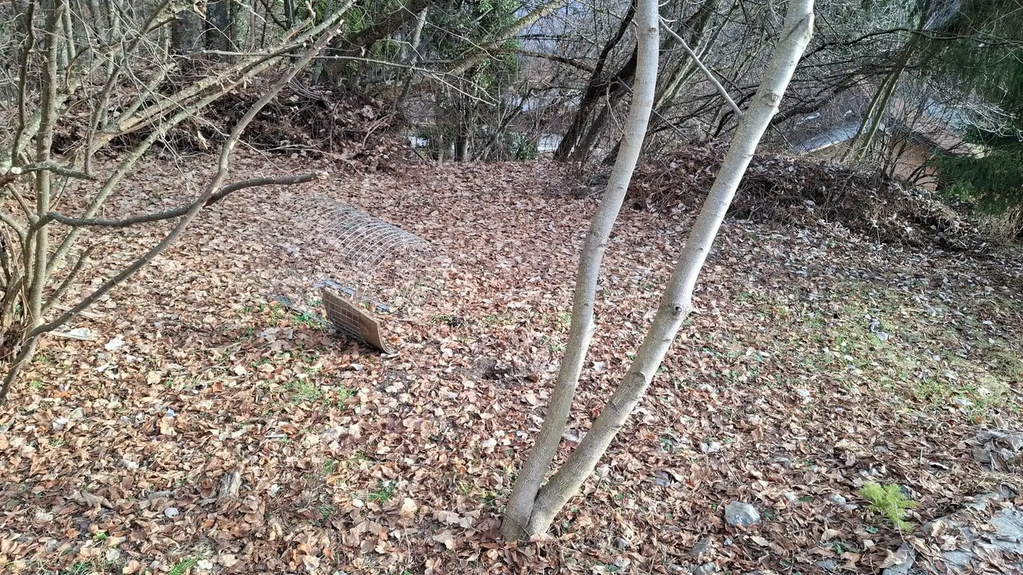Casa singola in vendita - 1955 Chamoson - Foto 2