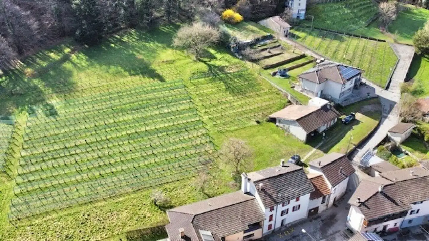 Casa singola in vendita - In Cumlina 29, 6528 Camorino - Photo 2