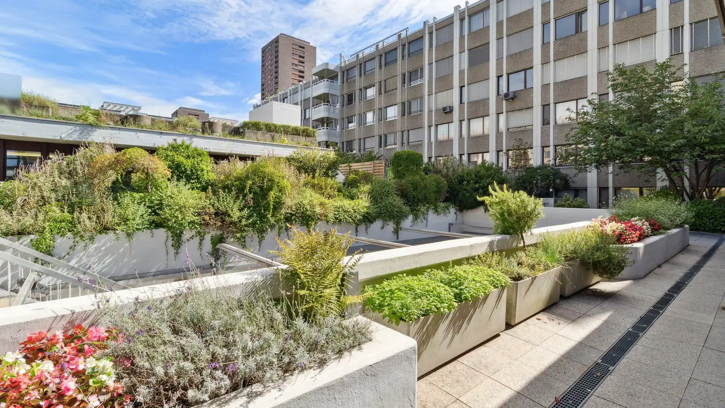 Bureau à vendre - 8004 Zürich