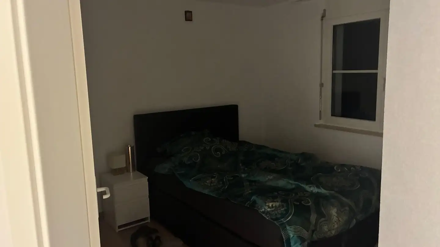 Wohnung mieten - Staatsstrasse 30a, 9463 Oberriet SG - Foto 3