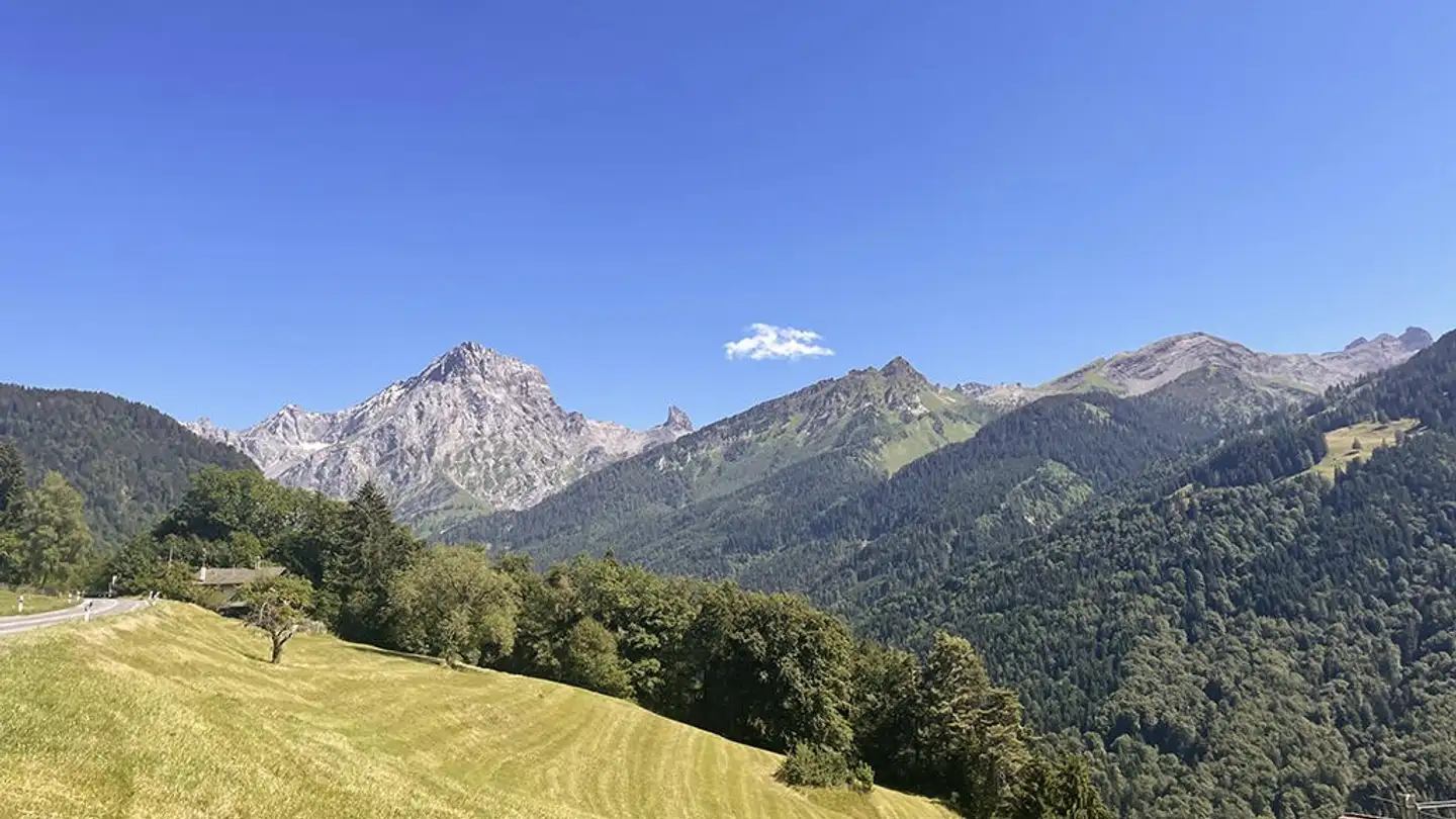 Chalet kaufen - 1884 Villars-sur-Ollon