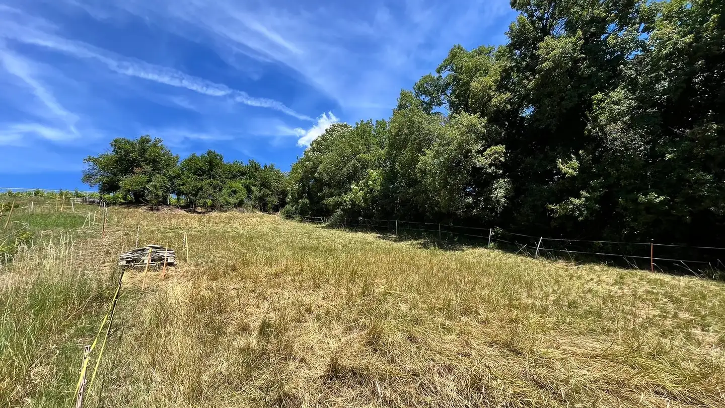 Terrain constructible à vendre - 1966 Signèse (Ayent) - Photo 3