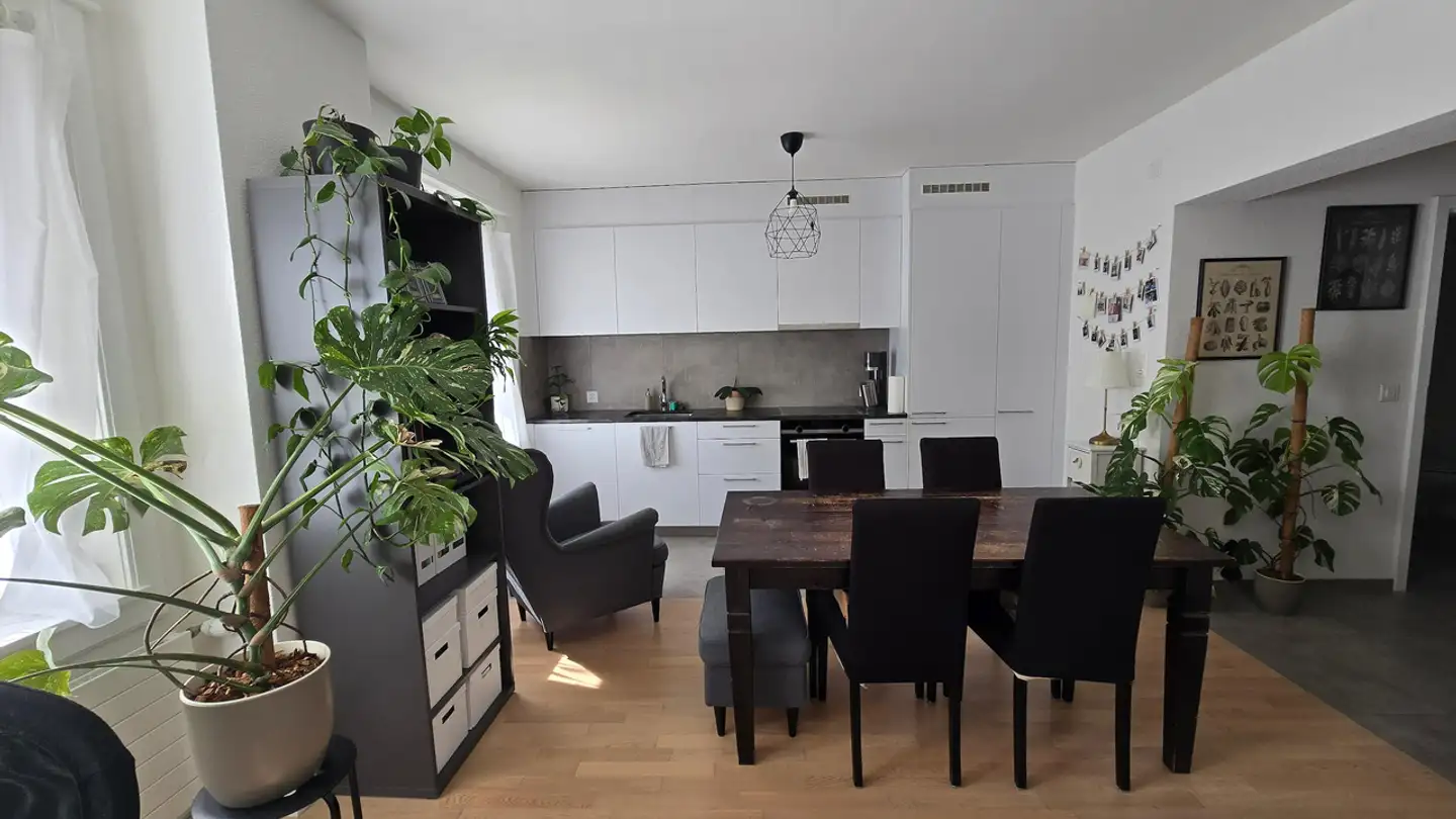 Wohnung mieten - Boulevard De Pérolles 65, 1700 Fribourg - Foto 3