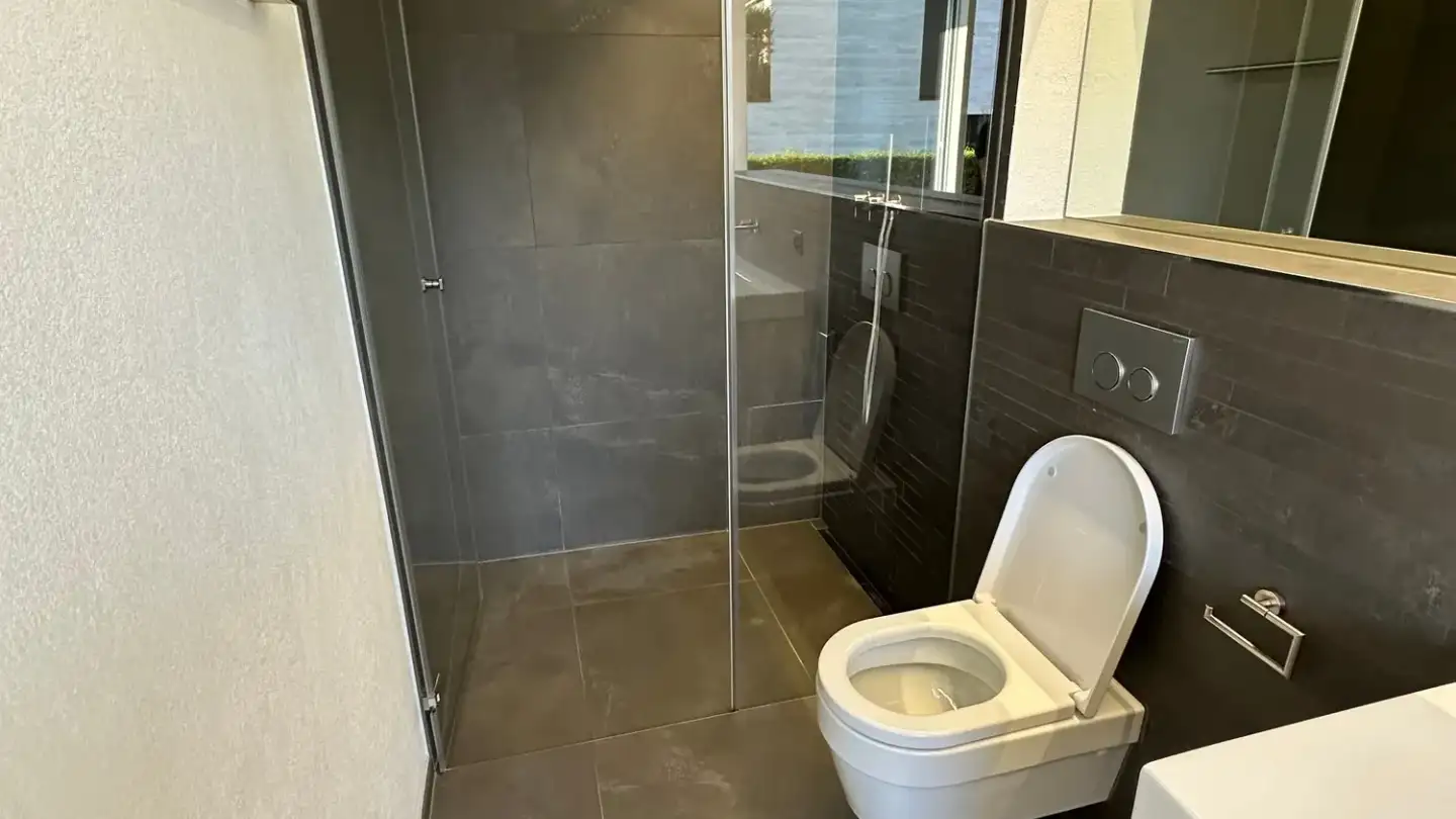 Studio in affitto - Seeblickstrasse 12, 8855 Wangen SZ - Foto 3