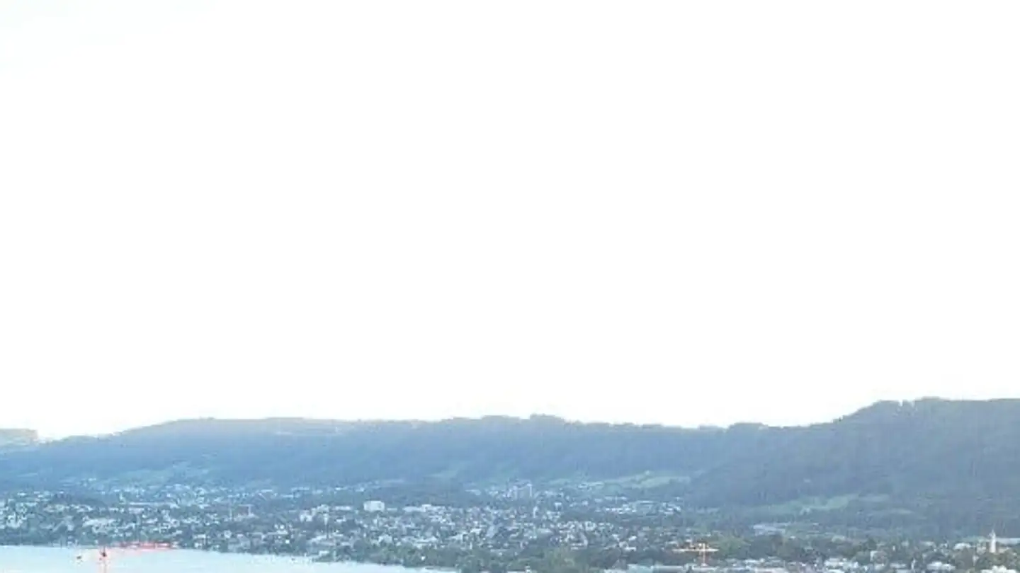 Wohnung mieten - Restelbergstrasse 86, 8044 Zürich - Foto 3