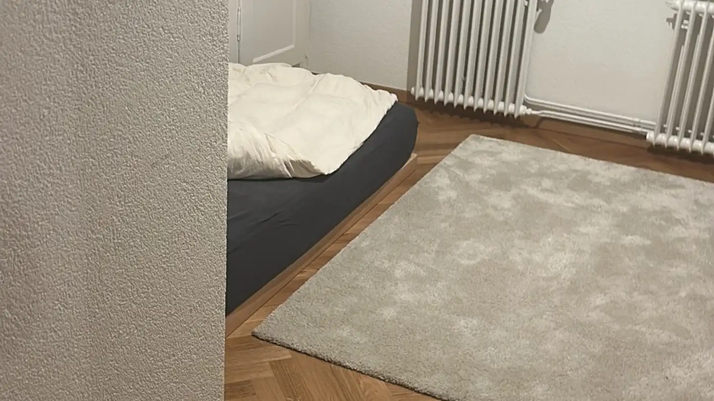Furnished apartment for rent - Spyriplatz, 8044 Zürich - Photo 3
