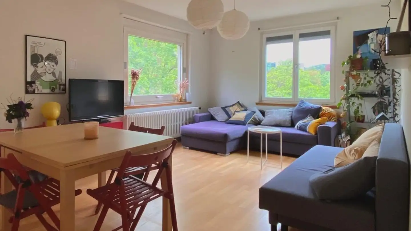 Chambre à louer - Albisriederstrasse 86, 8003 Zürich