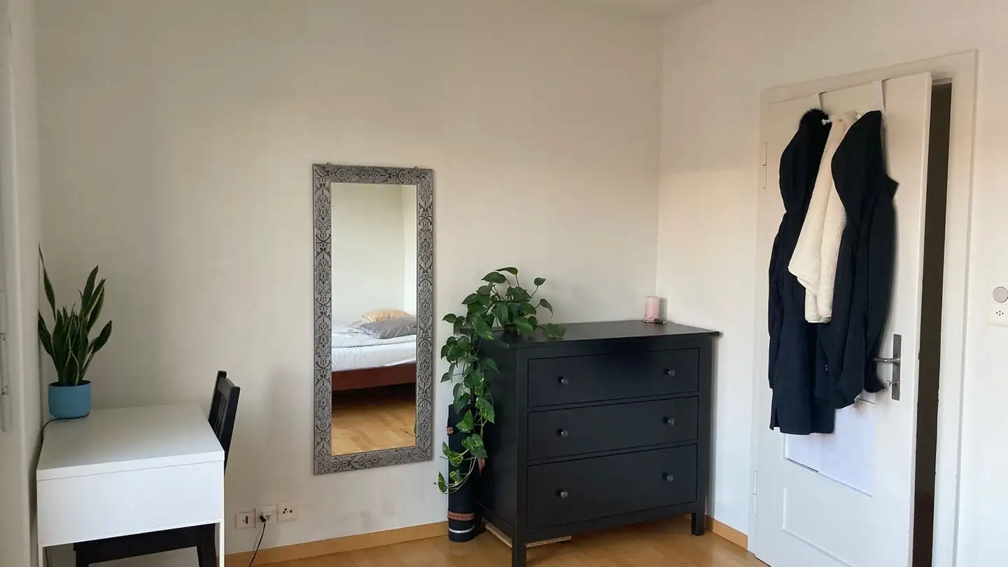 Chambre à louer - Albisriederstrasse 86, 8003 Zürich - Photo 3