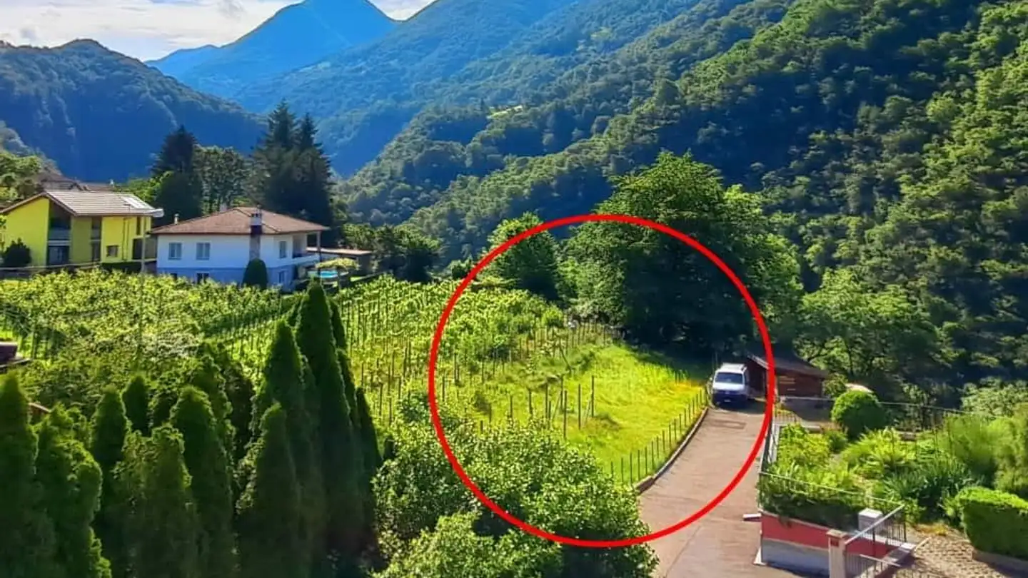 Constructible plot for sale - Via Campagna, 6582 Pianezzo - Photo 2