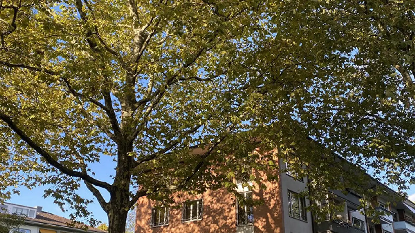 Appartamento in affitto - Tellstrasse 22, 3014 Bern