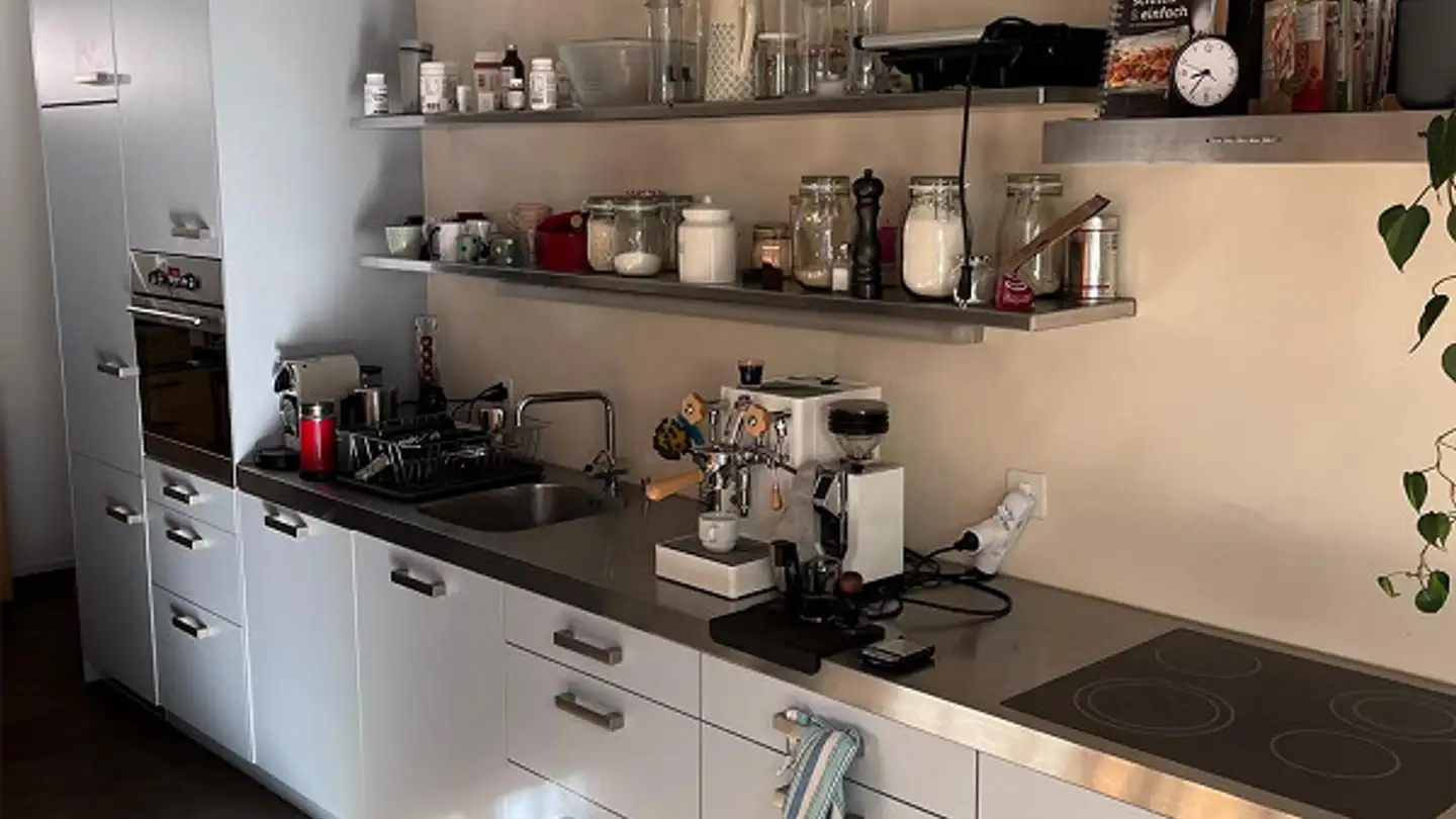 Appartamento in affitto - Eichgutstrasse 14, 8400 Winterthur - Foto 3