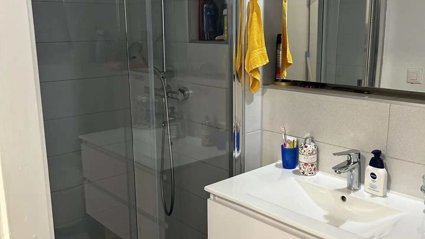 Wohnung mieten - Uetlibergstrasse 30, 8045 Zürich - Foto 2