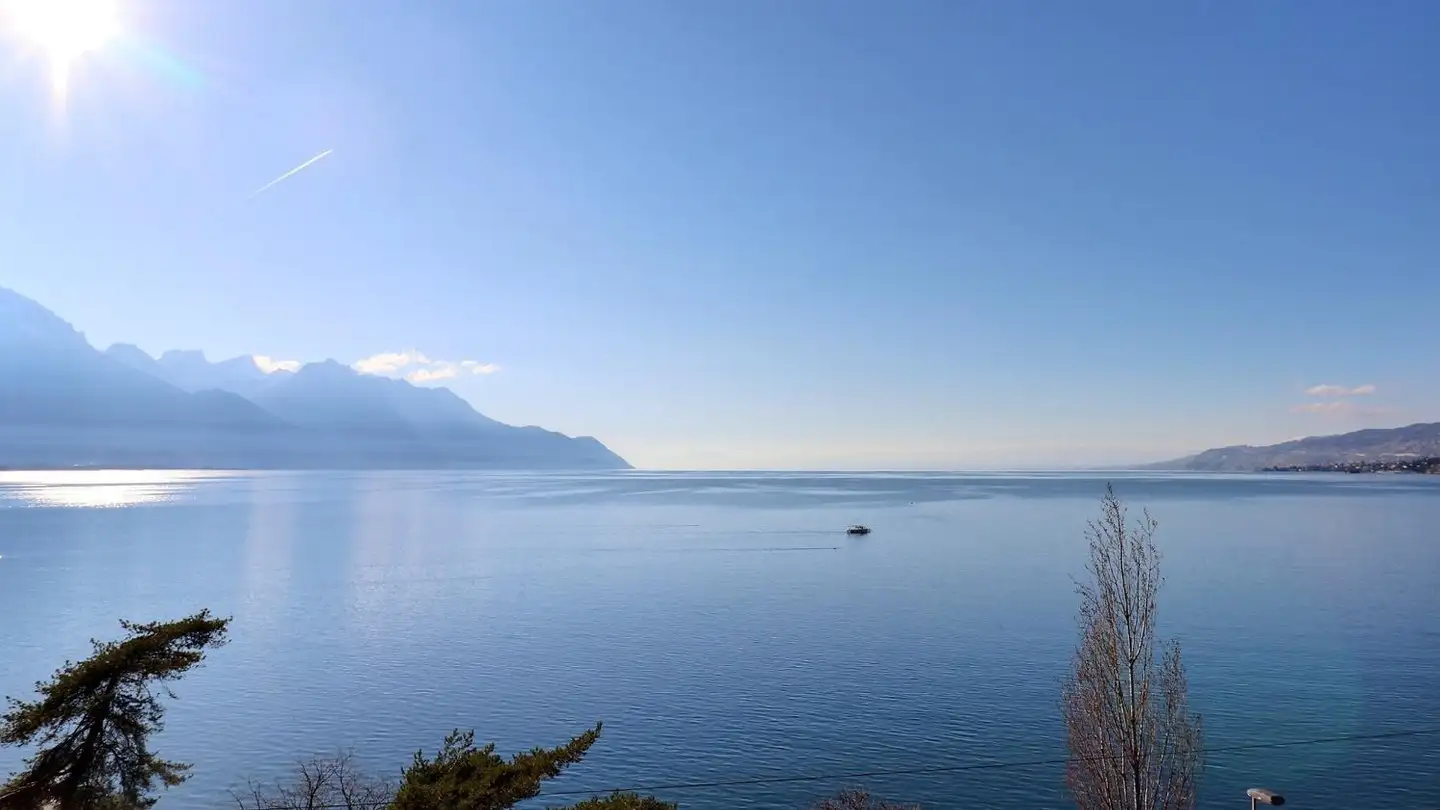 Duplex à vendre - Avenue De Chillon 36, 1820 Veytaux