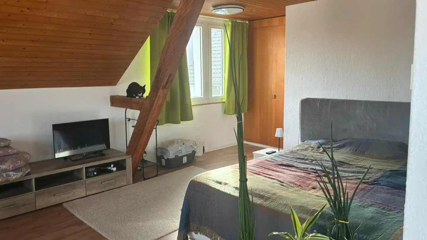 Appartement à louer - Weissensteinstrasse 100, 4515 Oberdorf SO