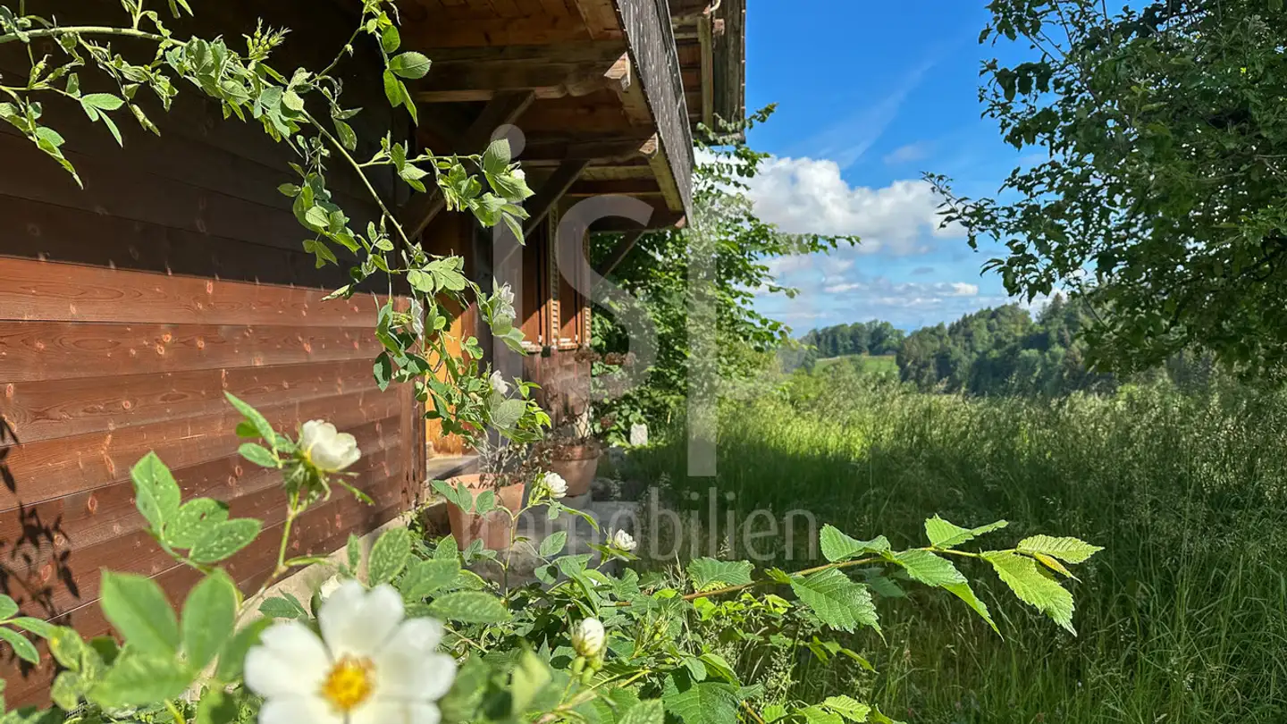 Single house for sale - Stiersackerstrasse 62, 3150 Schwarzenburg - Photo 3