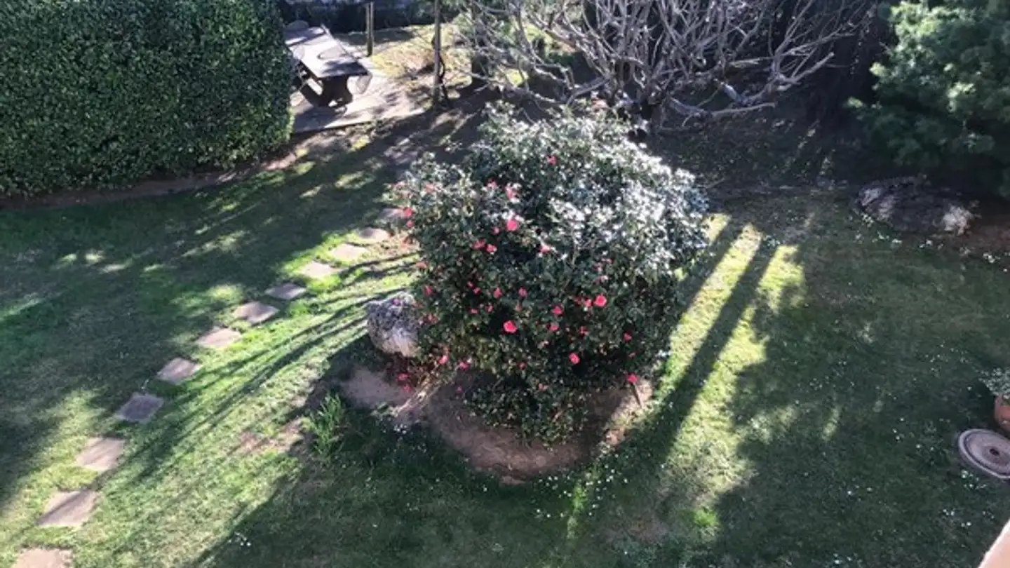 Appartamento in vendita - Via Camana 3, 6965 Cadro - Photo 3