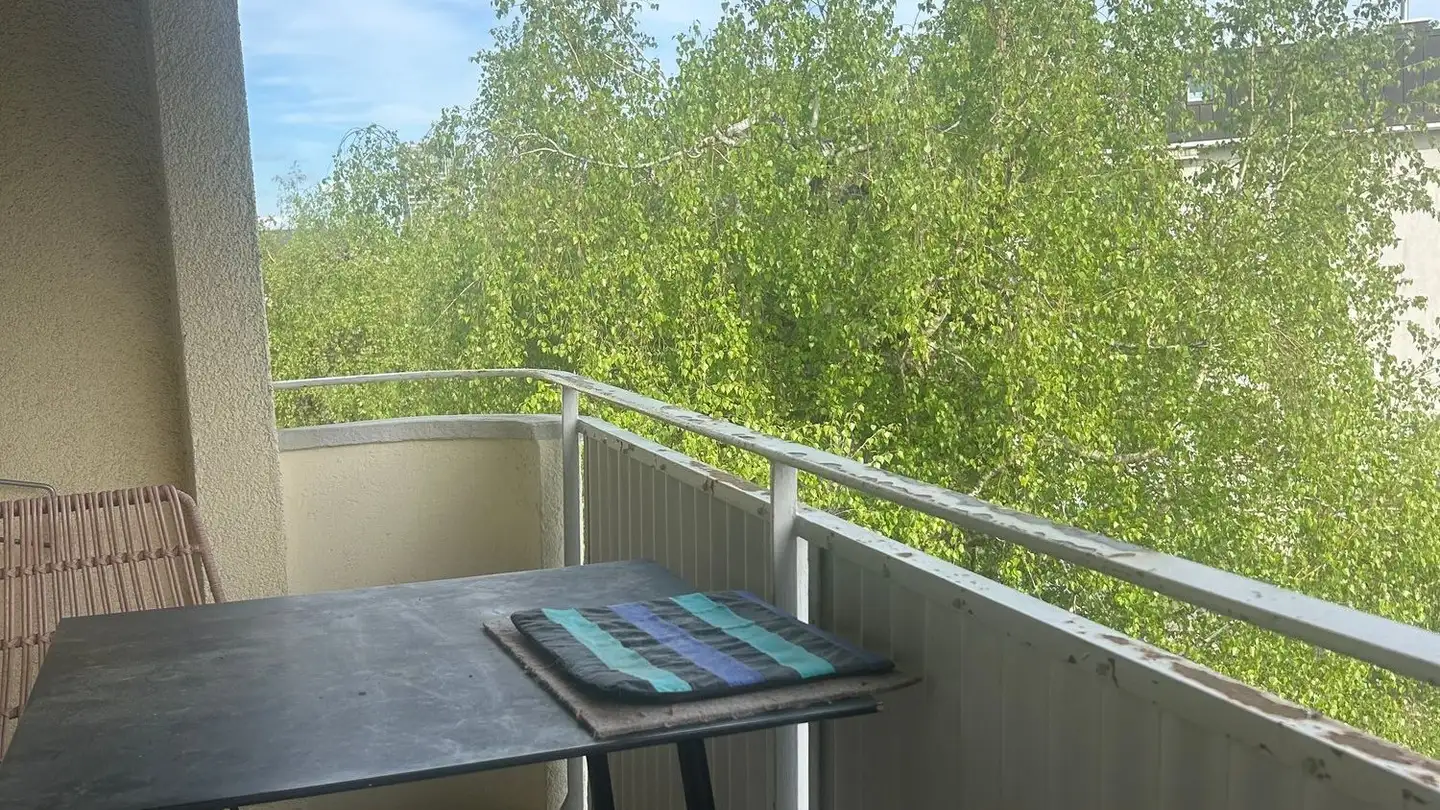 Apartment for rent - 8953 Dietikon
