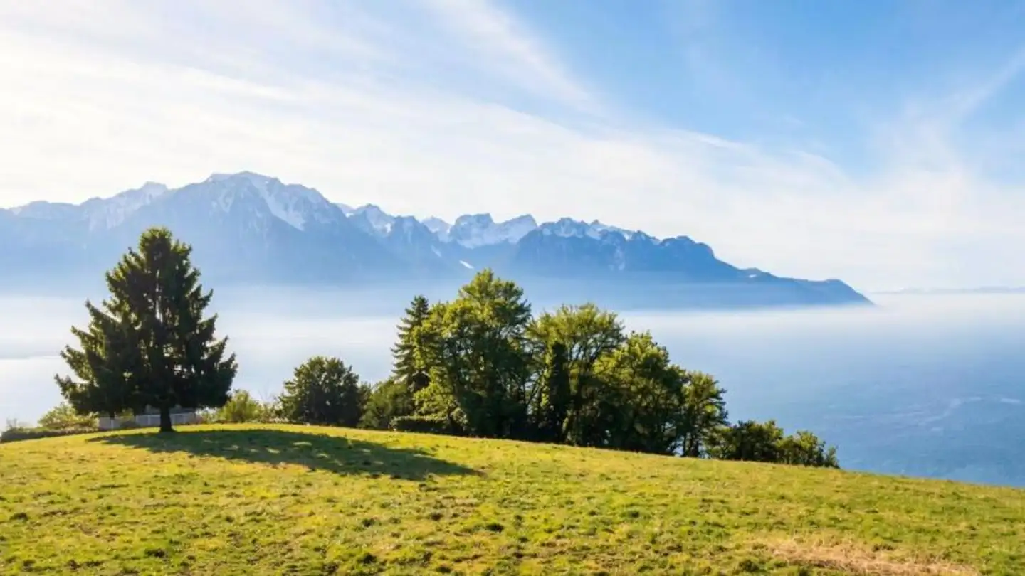 Casa a schiera in vendita - 1820 Montreux - Foto 2