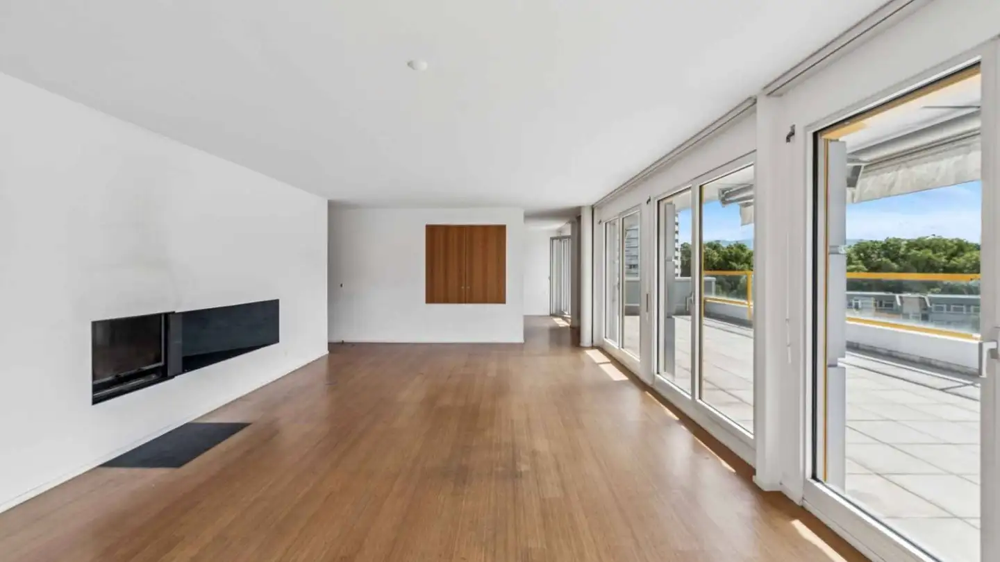 Attique à vendre - 1227 Carouge GE - Photo 2