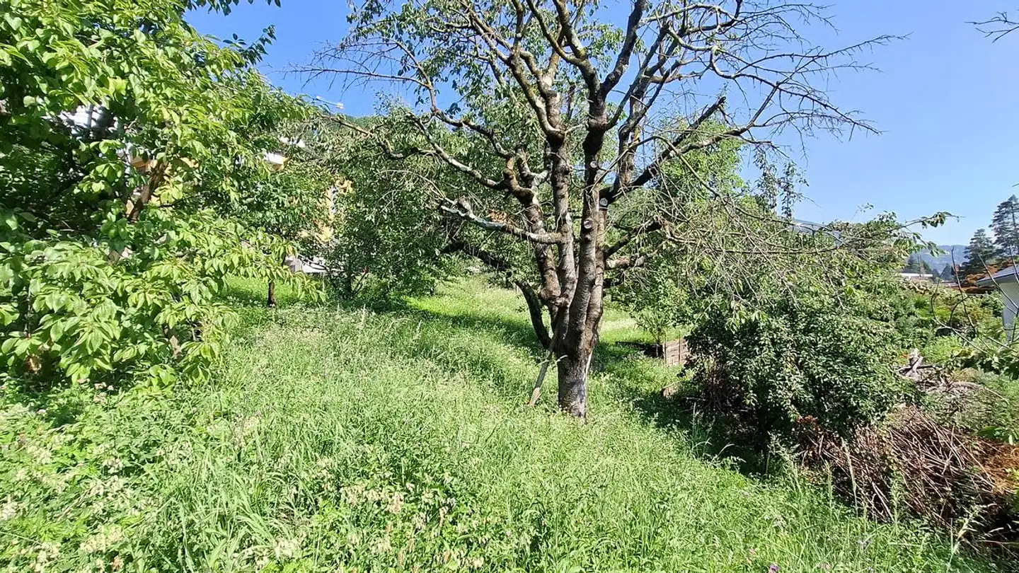 Terreno edificabile in vendita - 6982 Agno
