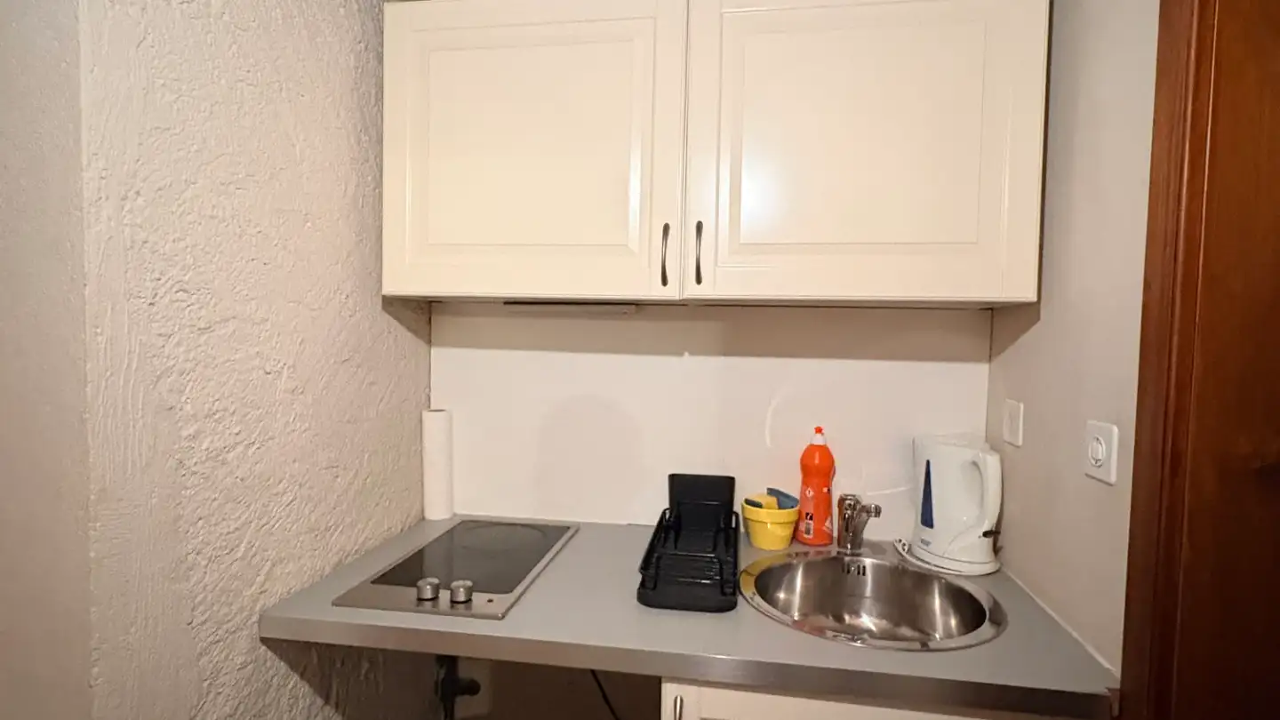 Appartamento in affitto - Chemin De La Plamatte 10, 1228 Plan-les-Ouates - Foto 3