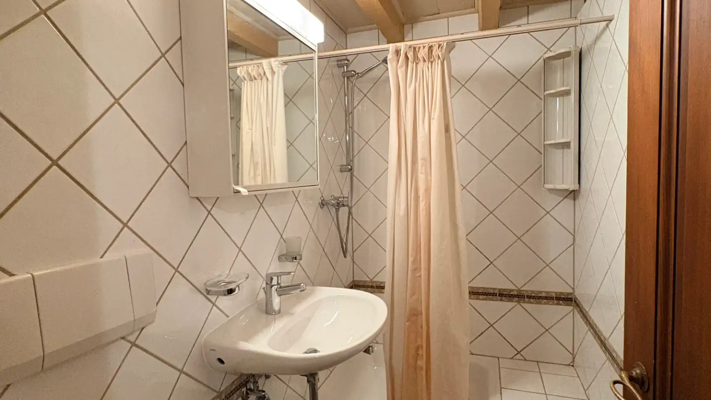 Appartamento in affitto - Chemin De La Plamatte 10, 1228 Plan-les-Ouates - Foto 4