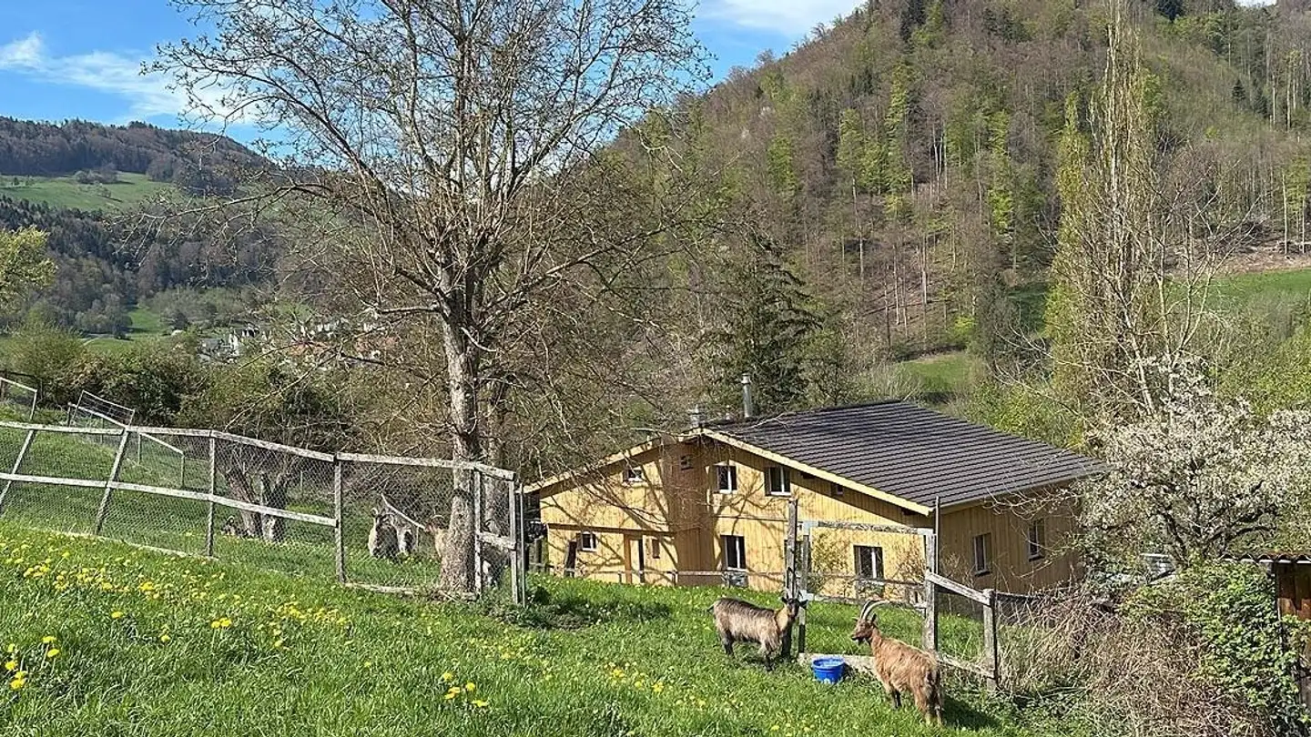 Apartment for rent - Rüttmatt 24, 4436 Oberdorf BL - Photo 2
