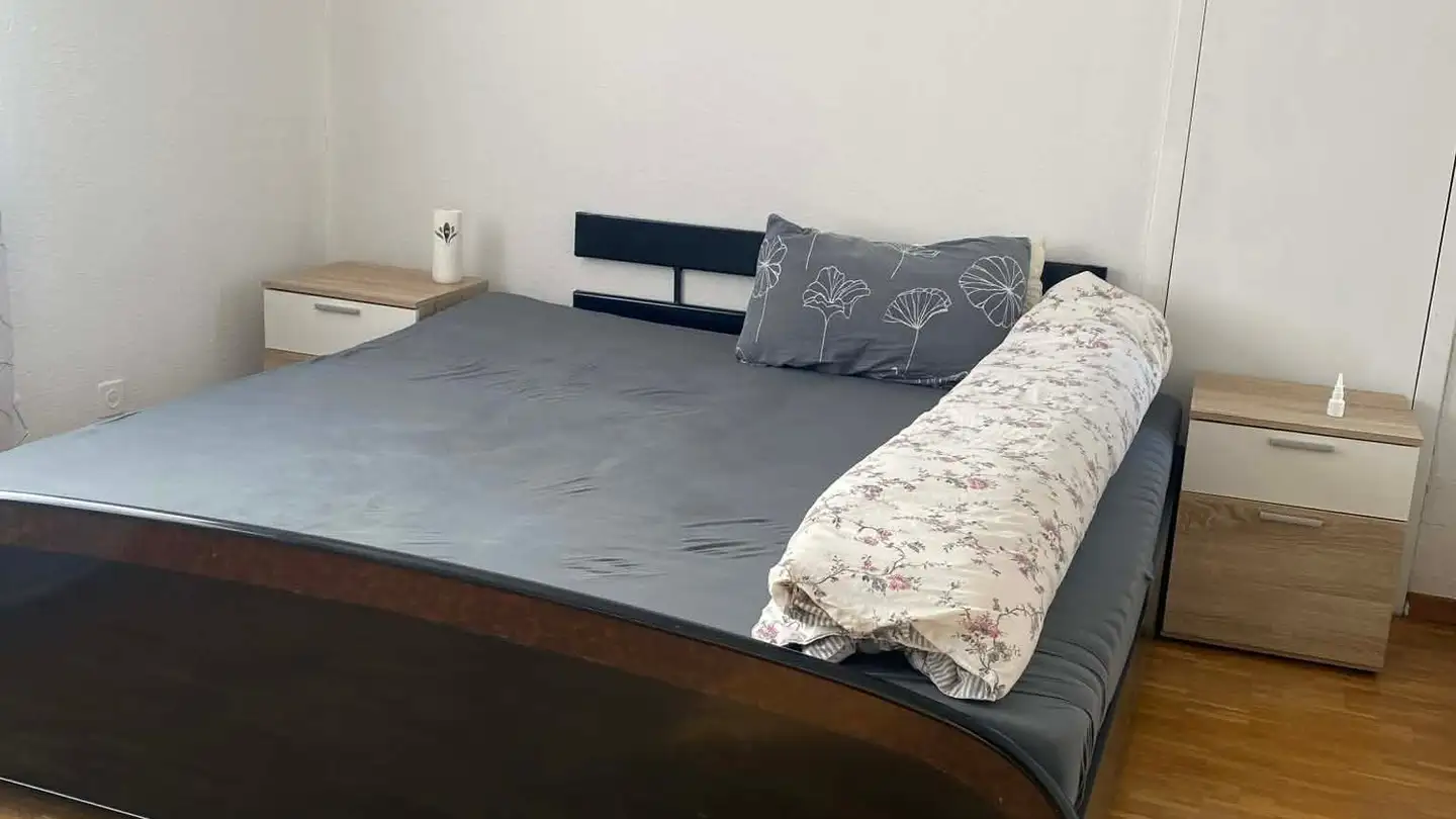 Furnished apartment for rent - 8614 Bertschikon (Gossau ZH) - Photo 4