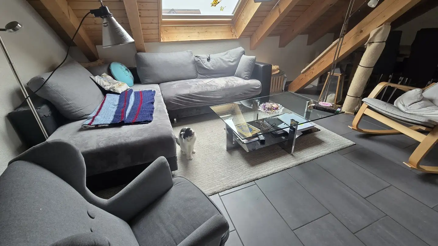 Appartamento in affitto - 8908 Hedingen - Foto 2