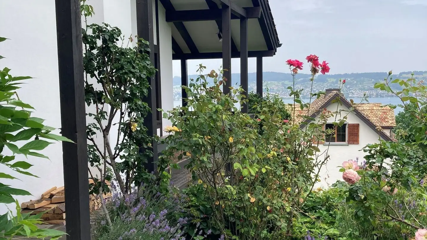 Mehrfamilienhaus kaufen - Buechenrain 3, 8820 Wädenswil - Foto 4