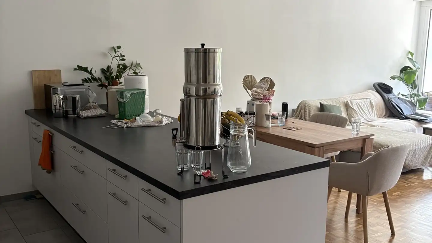 Appartamento in affitto - Rue De Moillebeau 3f, 1209 Genève - Foto 3