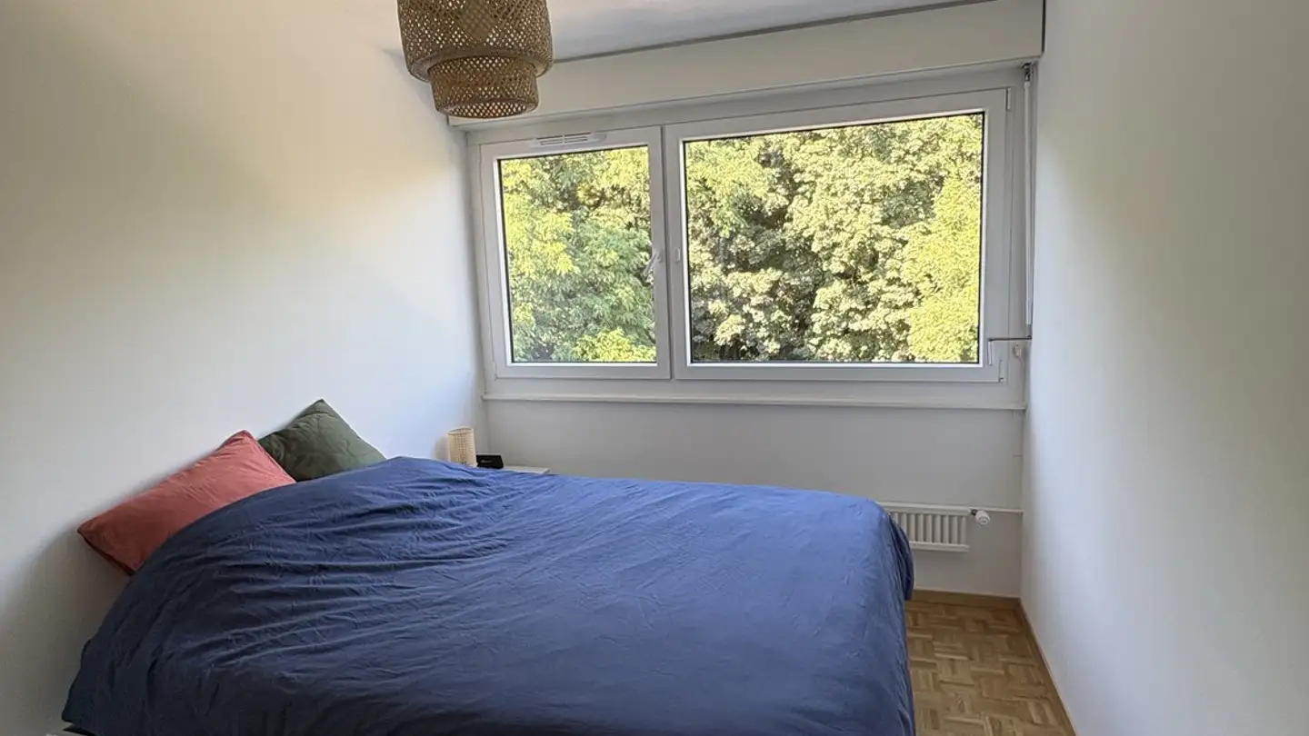 Appartamento in affitto - Rue De Moillebeau 3f, 1209 Genève - Foto 4