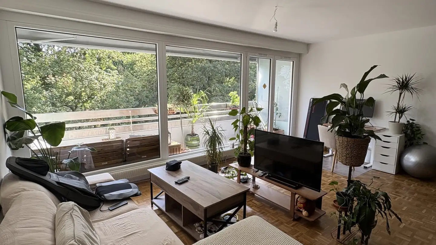 Appartamento in affitto - Rue De Moillebeau 3f, 1209 Genève