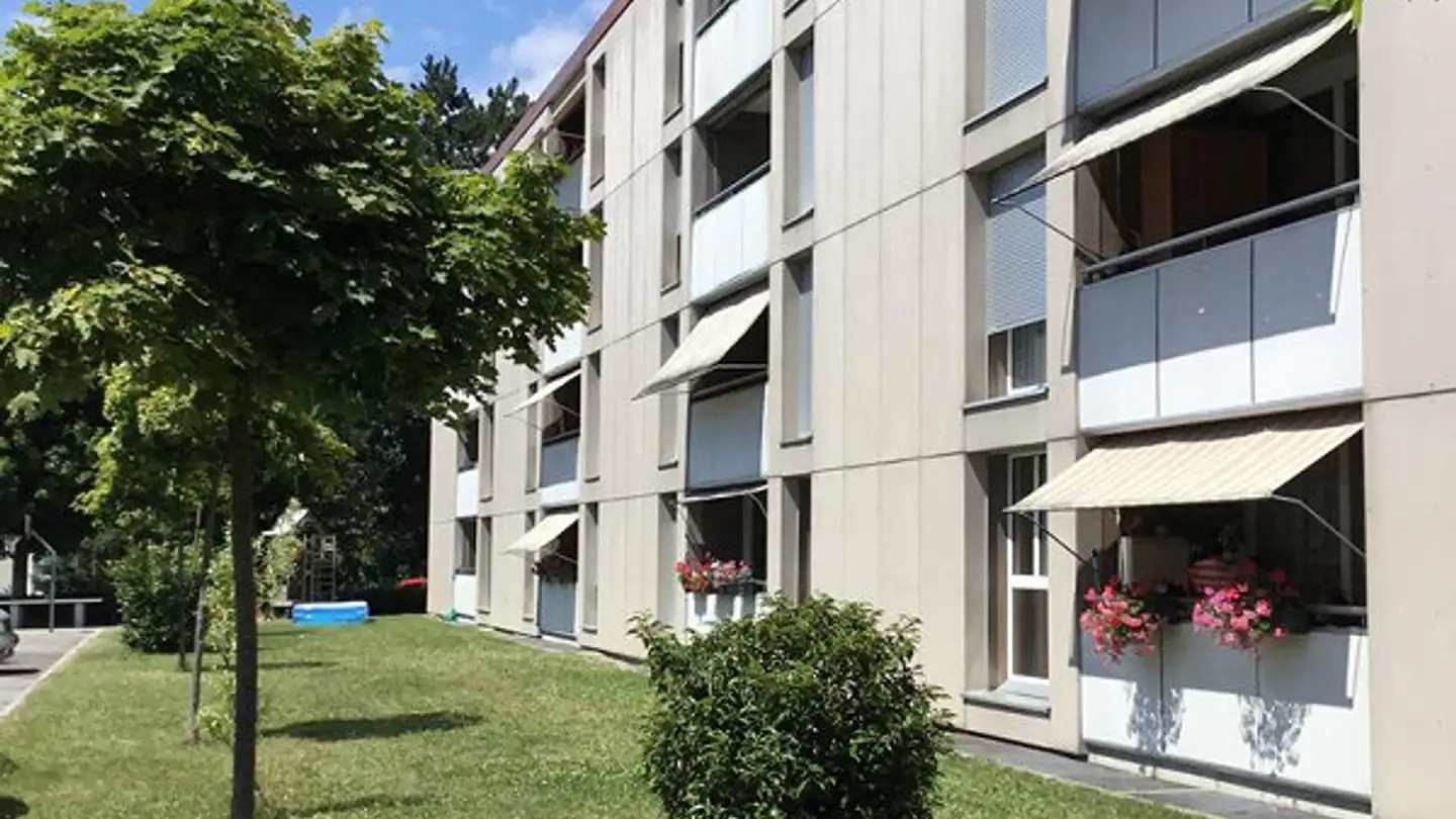 Appartement à louer - Heuweg 74, 5033 Buchs AG