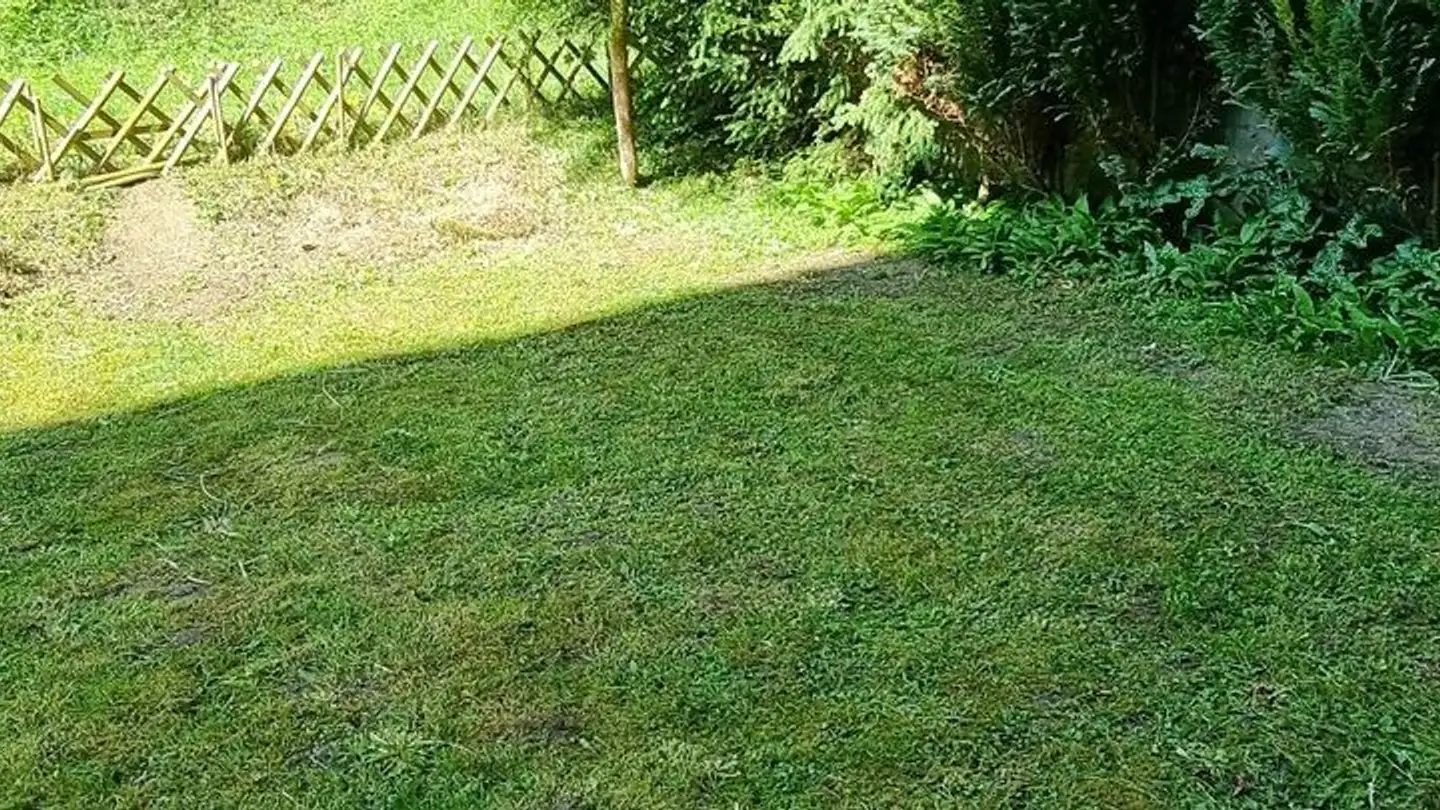 Apartment for rent - Zelgstrasse 60, 8134 Adliswil - Photo 4