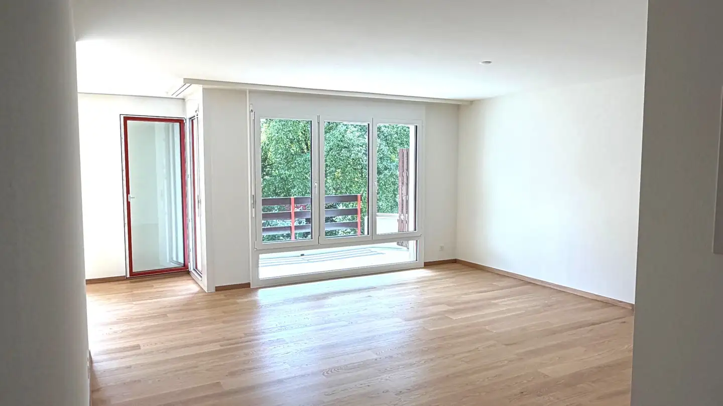 Appartamento in affitto - Kirchmattstrasse, 4226 Breitenbach