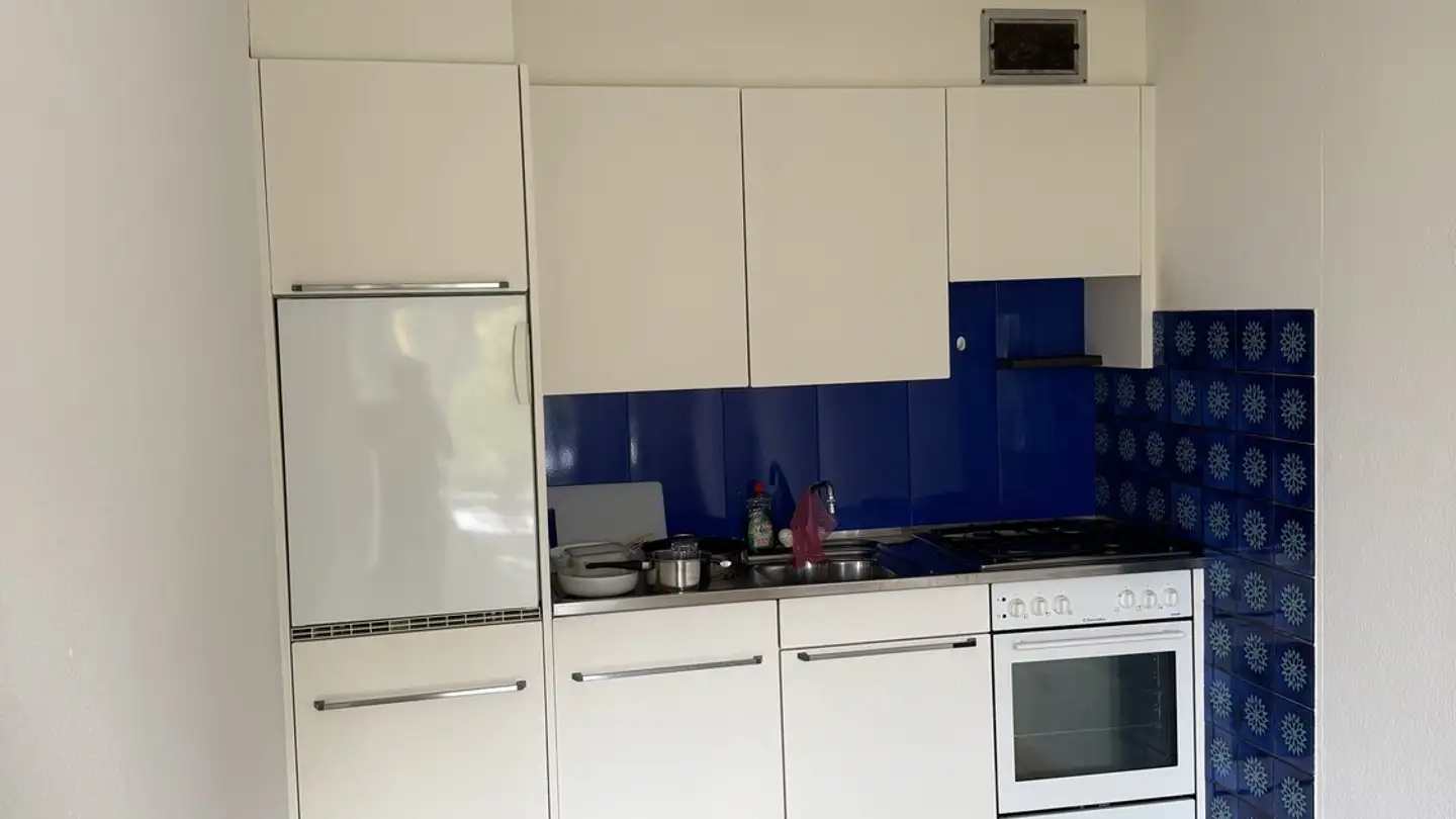 Appartamento in affitto - Rautistrasse 345, 8048 Zürich - Foto 3