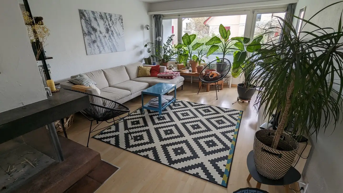 Appartamento in affitto - Hochstrasse, 8044 Zürich