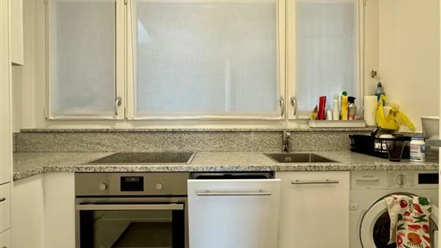 Appartamento in affitto - 6976 Castagnola - Foto 3