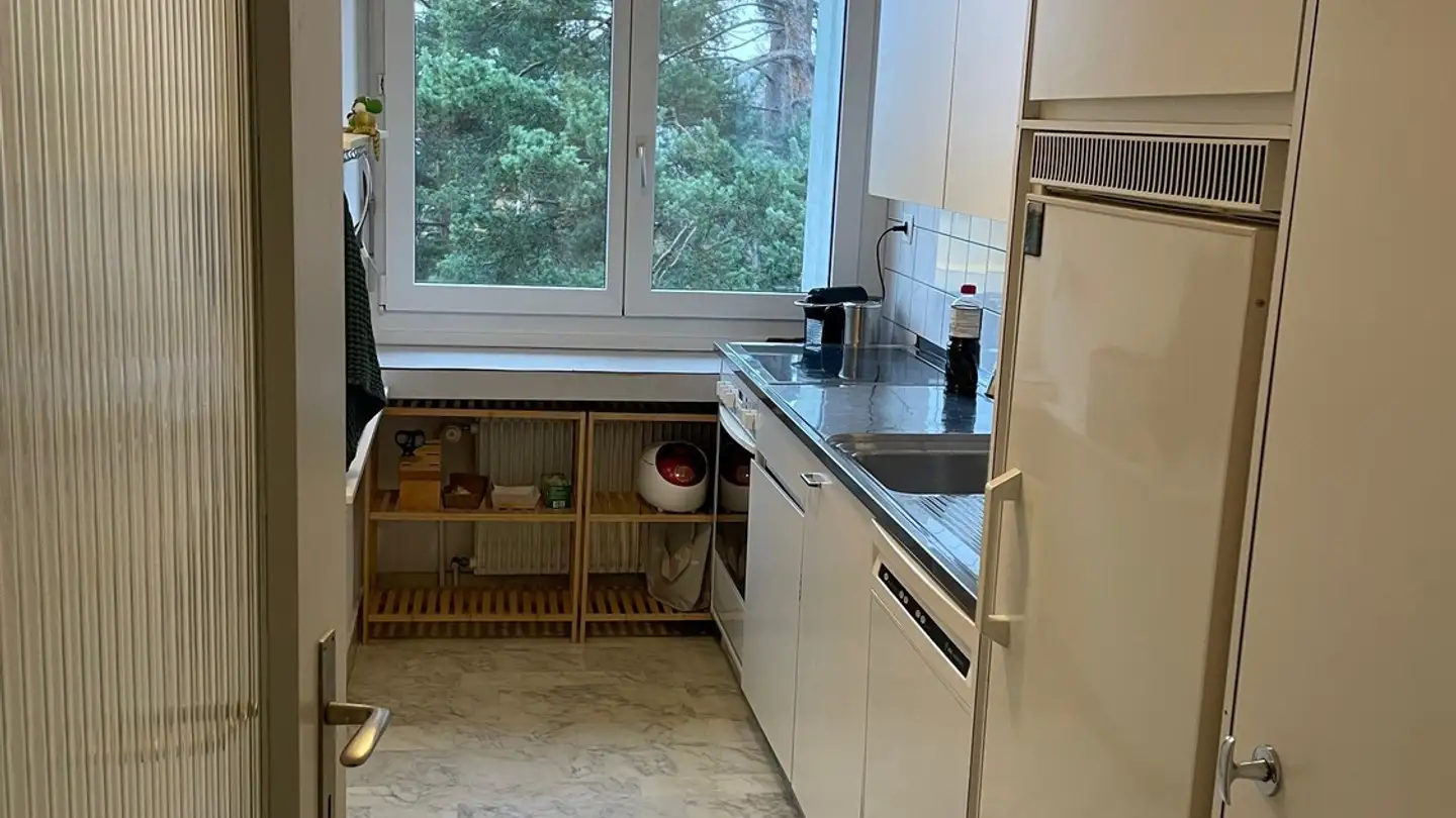 Appartamento in affitto - Döltschihalde 5, 8055 Zürich - Photo 3