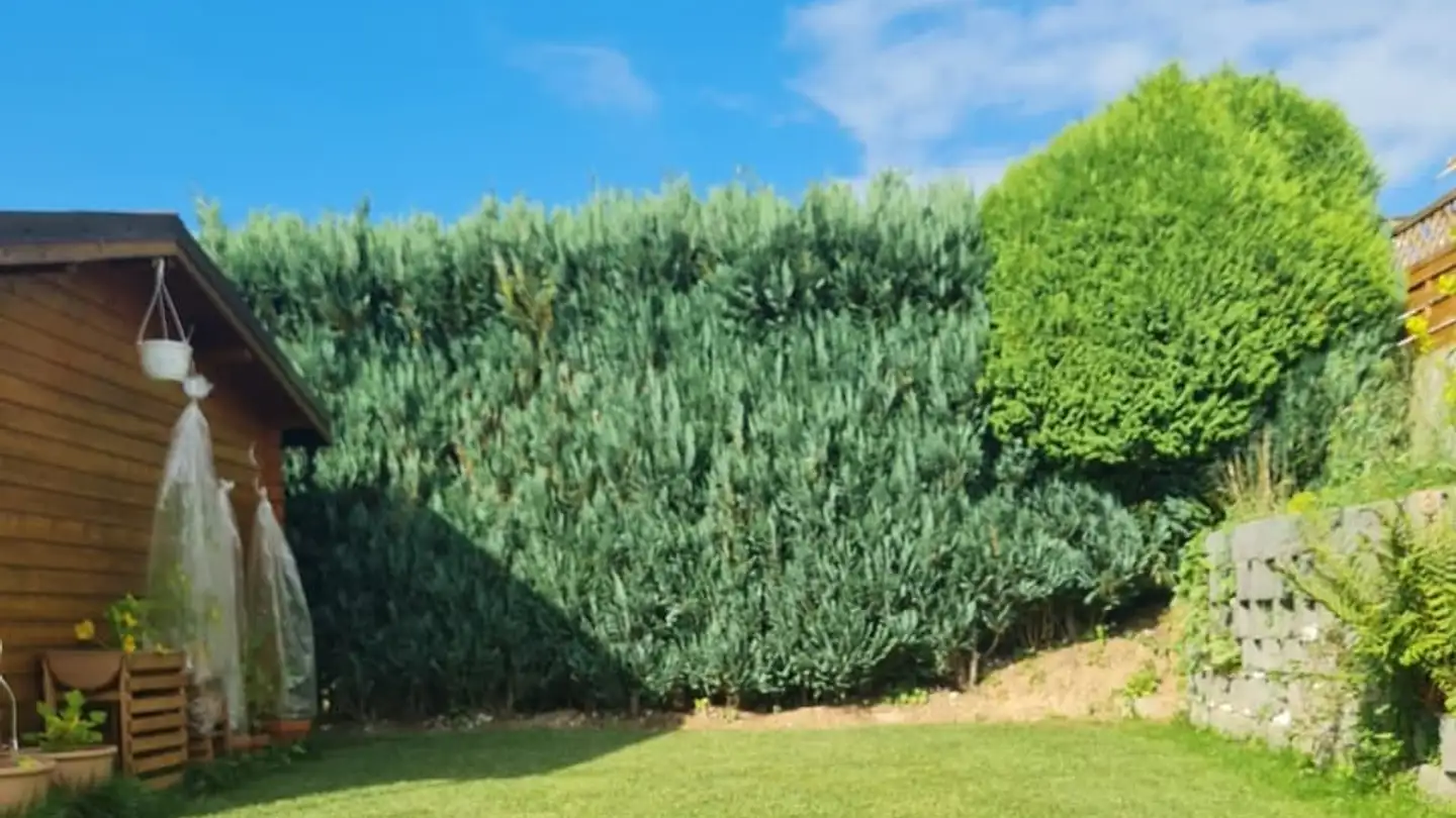 Einfamilienhaus mieten - Neumatt 8, 1736 St. Silvester - Foto 3