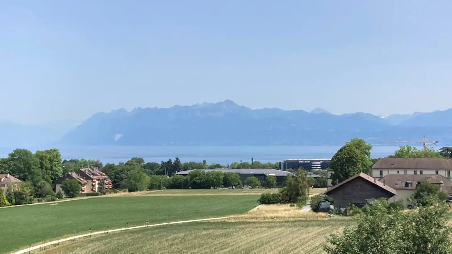 Mehrfamilienhaus kaufen - 1110 Morges