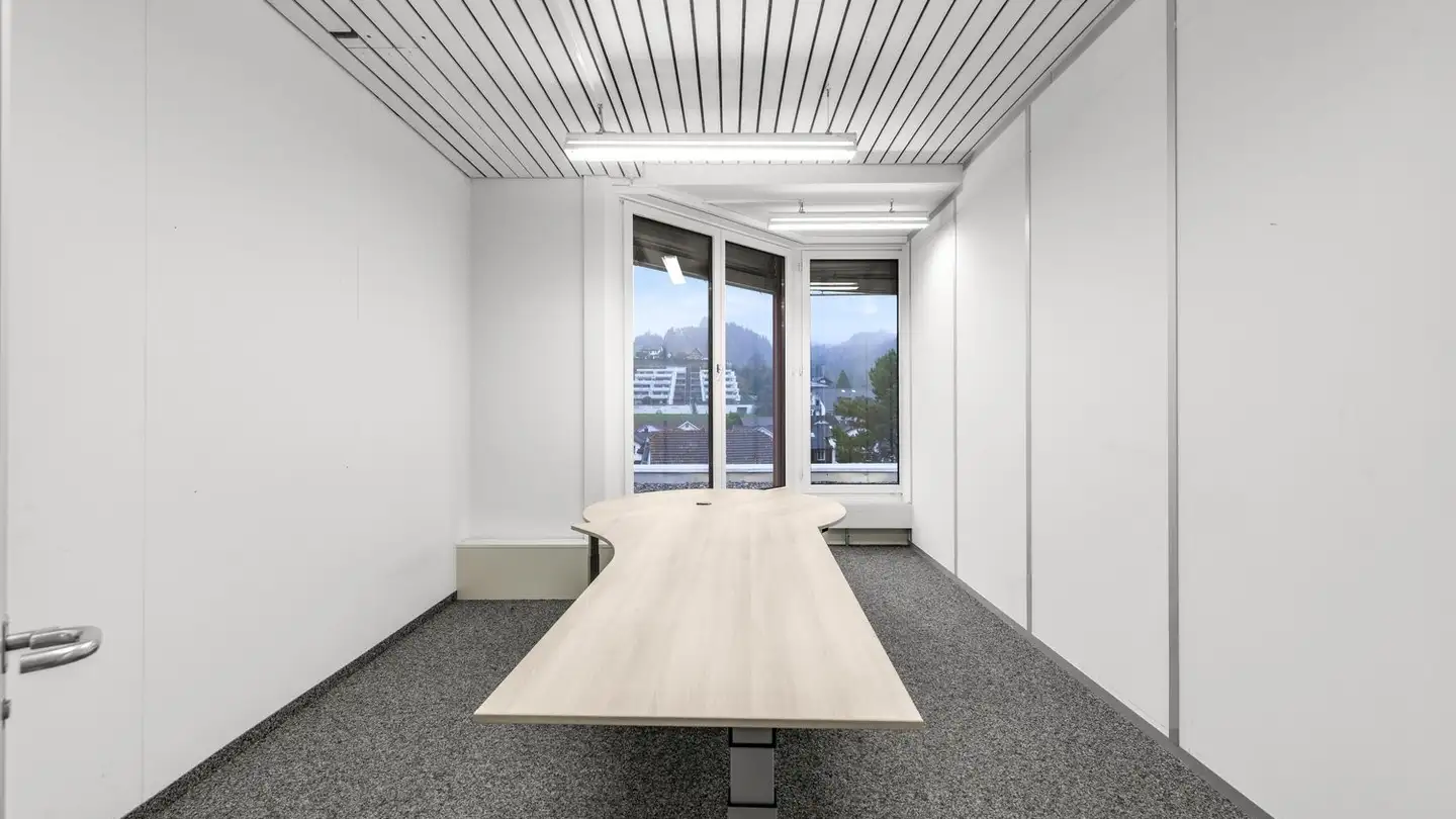 Commerciale in affitto - Itaslenstrasse 9, 8362 Balterswil - Foto 4