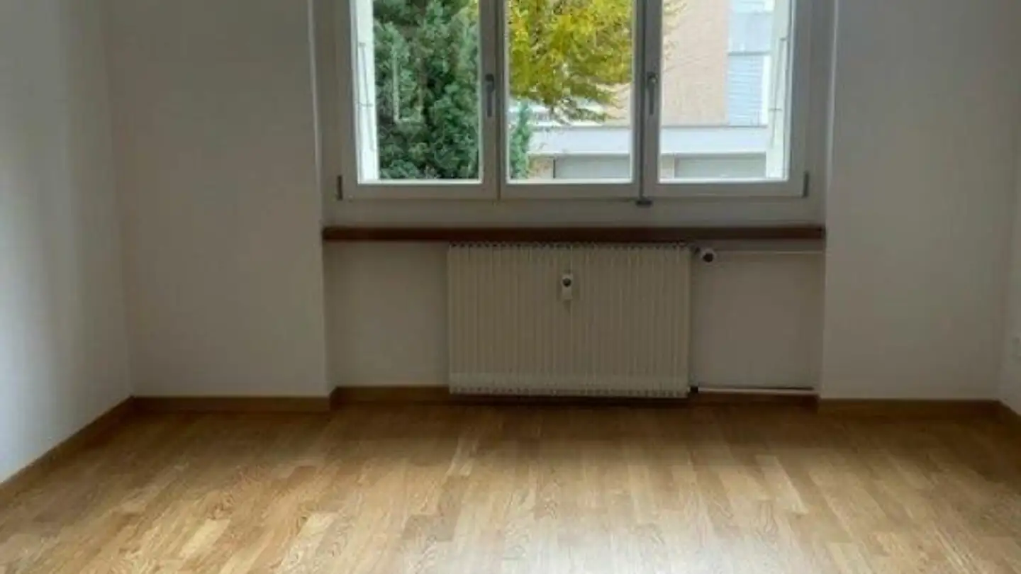 Apartment for rent - Freihofstrasse, 3800 Unterseen - Photo 4