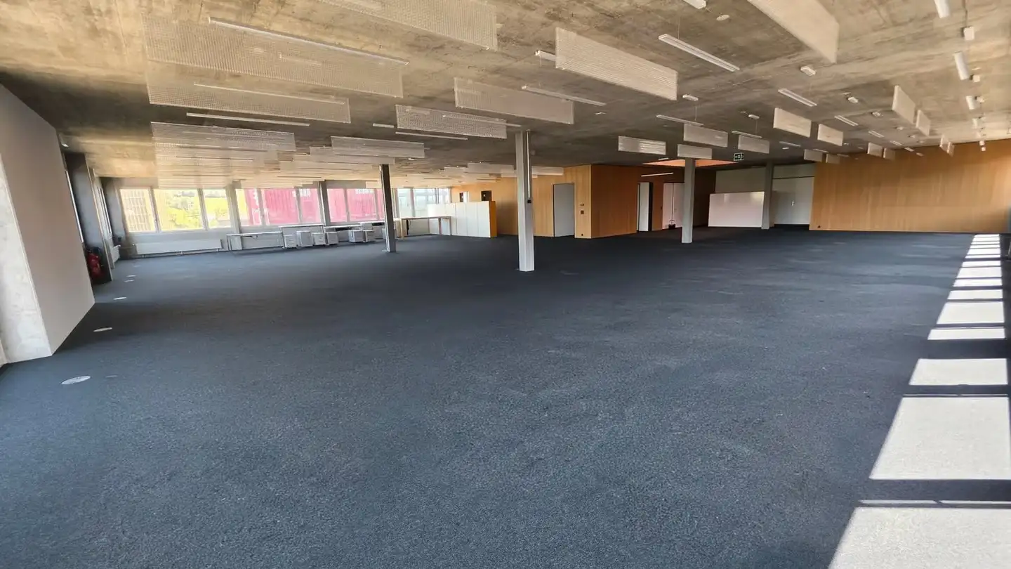Commerciale in affitto - Wassergrabe 14, 6210 Sursee