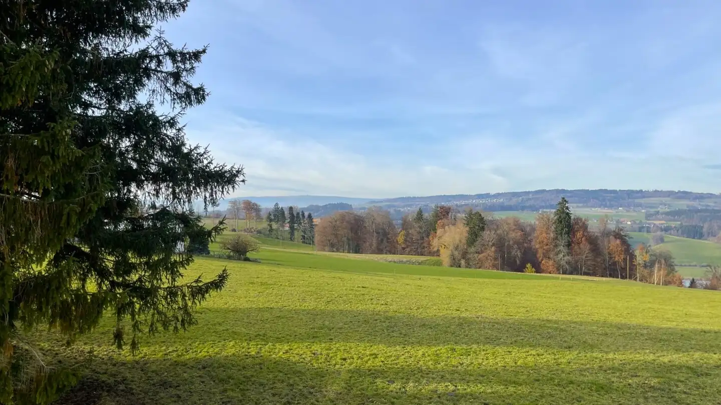 Appartement à louer - Murtenstrasse 4, 3202 Frauenkappelen - Photo 3