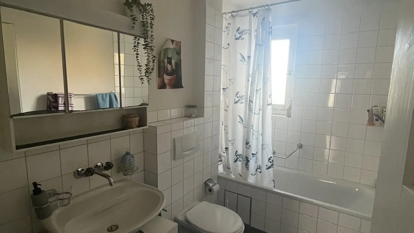 Stanza singola in affitto - Storchenstrasse 4, 9008 St. Gallen - Photo 4