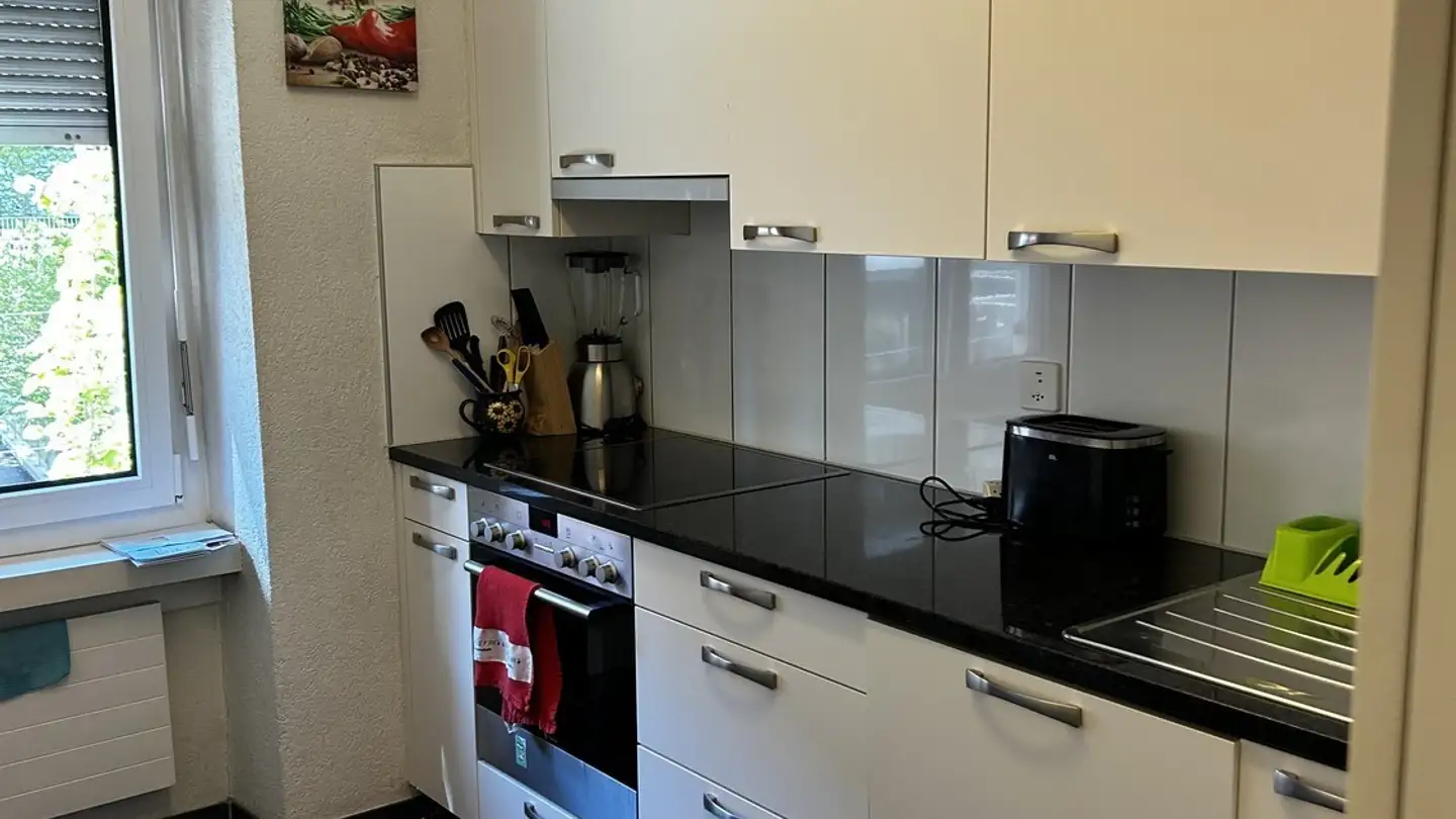 Appartamento in affitto - Uetlibergstrasse 30, 8045 Zürich - Foto 2